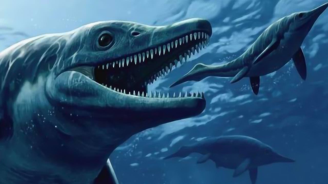 世界十大最恶心的生物，蛀船虫乃当之无愧的第一